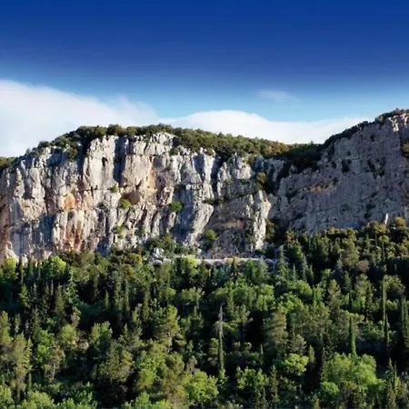 Le Petit Bivouac